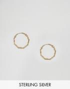 Asos Gold Plated Sterling Silver 20mm Chain Tube Hoop Earrings - Gold