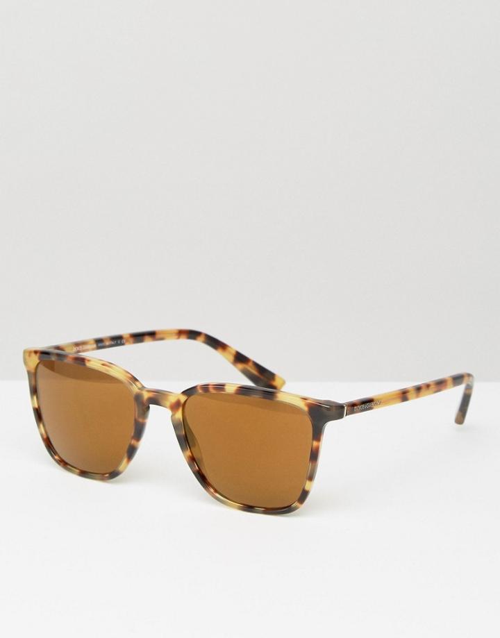 Dolce & Gabbana Square Sunglasses In Tort - Brown