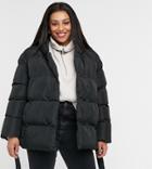 Threadbare Curve Stanley Oversized Padded Jacket With Hood And Tie Waist-black