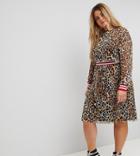 Asos Curve Leopard Print Mesh Midi Dress With Rib Detail - Multi