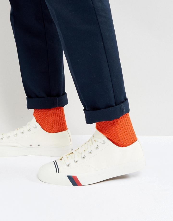 Pro Keds Royal Low Canvas Sneakers - White