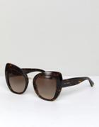 Dolce & Gabbana 0dg4319 Cat Eye Sunglasses In Tort 51mm - Brown