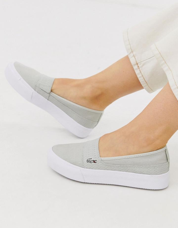 Lacoste Canvas Sneakers In Gray