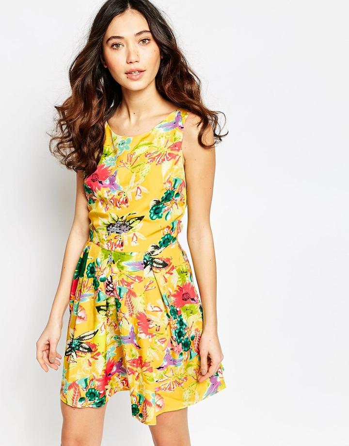 Iska Skater Dress In Floral Hummingbird Print - Yellow