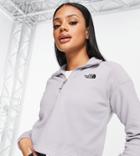 The North Face 100 Glacier 1/4 Zip Cropped Fleece In Washed Gray Exclusive At Asos