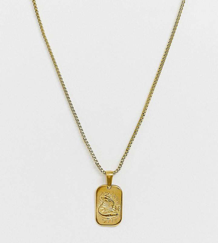 Image Gang Gold Filled Pisces Star Sign Pendant Necklace - Gold