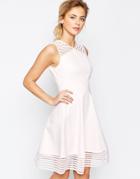 Ted Baker Mesh Eleese Detail Skater Dress - Pink