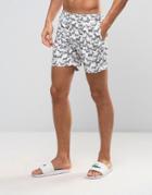 Original Penguin Swim Shorts Zebra Print In White - White