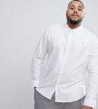 Farah Brewer Slim Fit Buttondown Shirt In White - White