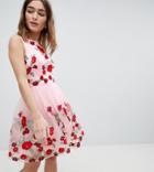 Chi Chi London Petite Prom Dress With Floral Embroidery - Pink