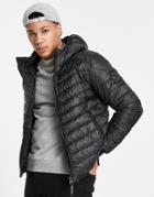 Marshall Artist Paninaro Lightweight Padded Jacket In Black