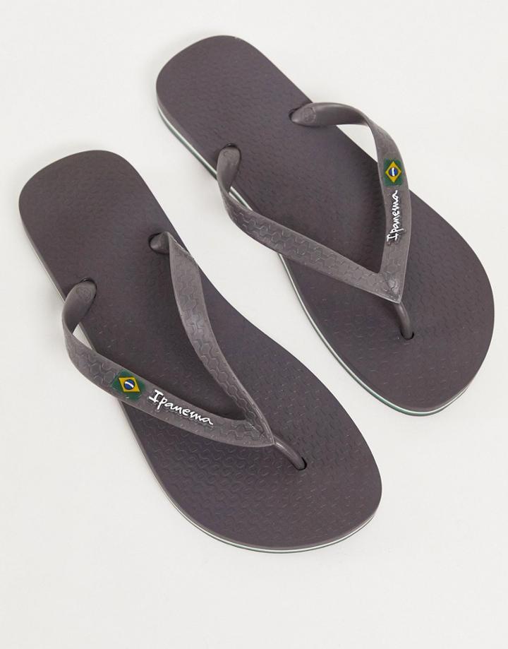 Ipanema Classic Brazil Flip Flops In Dark Gray