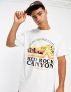 River Island Regular Red Rock Canyon T-shirt In White