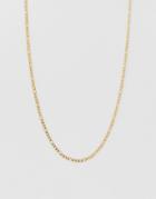 French Connection 3mm Fiargo Chain Necklace In Gold