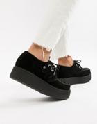 T.u.k Platform Creepers In Black Suede - Black