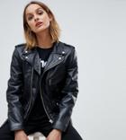 Schott Biker Jacket With Dalmation Lining In Leather - Black