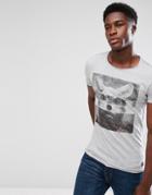 Blend Animal Print T-shirt - Gray