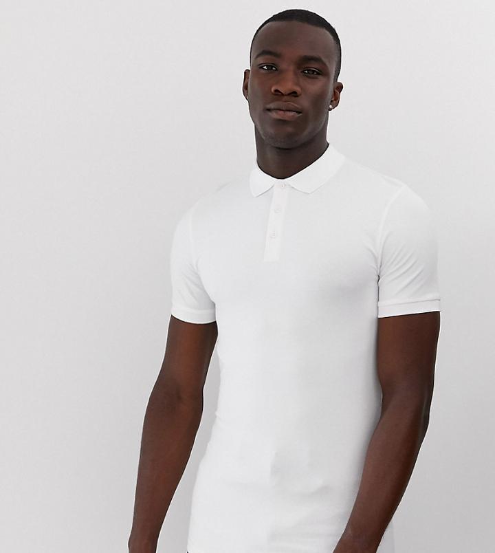 Asos Design Tall Muscle Fit Jersey Polo In White