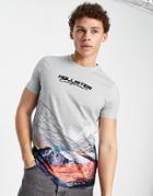 Hollister Center Logo Scenic Print T-shirt In Gray