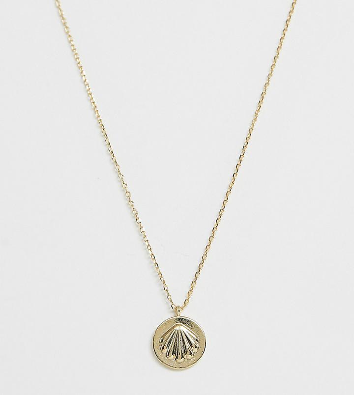 Orelia Gold Plated Sunkissed Shell Pendant Necklace - Gold