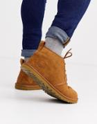 Ugg Neumel Classic Lace Up Short Boots In Chestnut Suede-brown