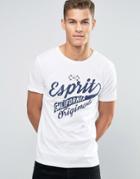 Esprit Crew Neck T-shirt With Print - White