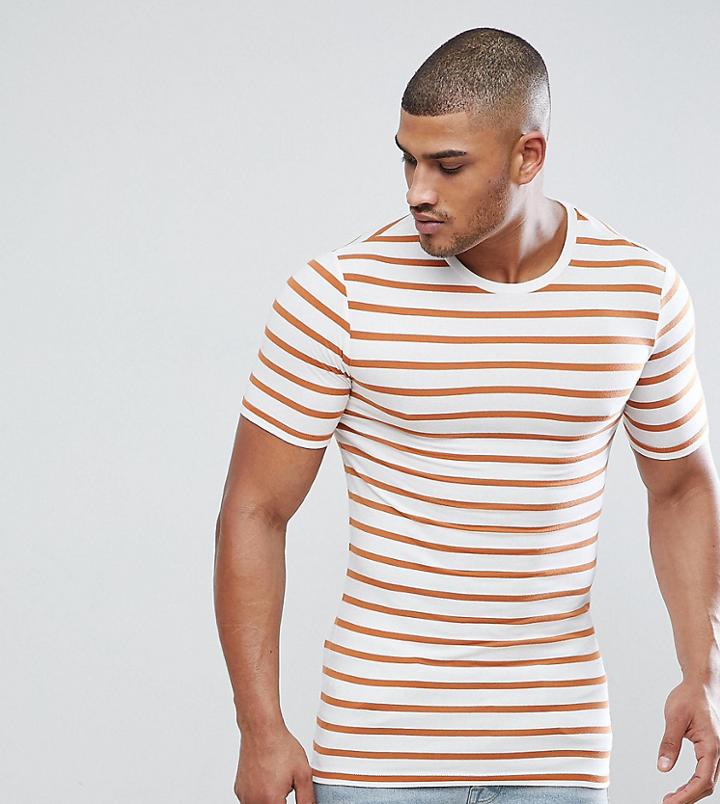Asos Design Tall Stripe Muscle T-shirt In White And Brown - White