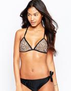 South Beach Triangle Bikini Top With Contrast Trim - Leopard Print