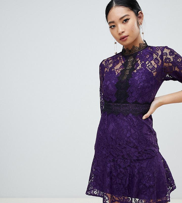 Little Mistress Petite Contrast Lace Prom Skater Dress In Purple - Purple