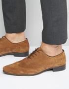 Asos Oxford Longwing Brogue Shoes In Tan Suede - Tan