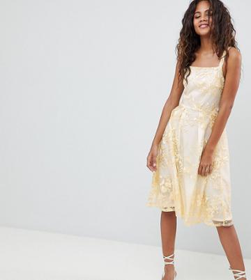 Dolly & Delicious Tall Allover Embroidered Floral Lace Midi Prom Dress - Multi