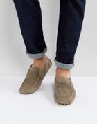 Tommy Hilfiger Suede Loafers - Beige