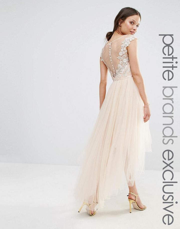 Chi Chi London Petite Lace Scallop Back High Low Midi Dress With Tulle Skirt - Cream