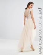 Chi Chi London Petite Lace Scallop Back High Low Midi Dress With Tulle Skirt - Cream