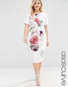 Asos Curve Wiggle Dress In Rose Placement Print - Print