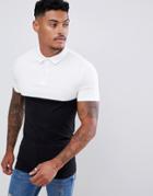 Asos Design Muscle Polo Shirt With Contrast Yoke In Black - Black