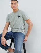 Abercrombie & Fitch Large Pop Icon Crew Neck T-shirt In Olive - Green