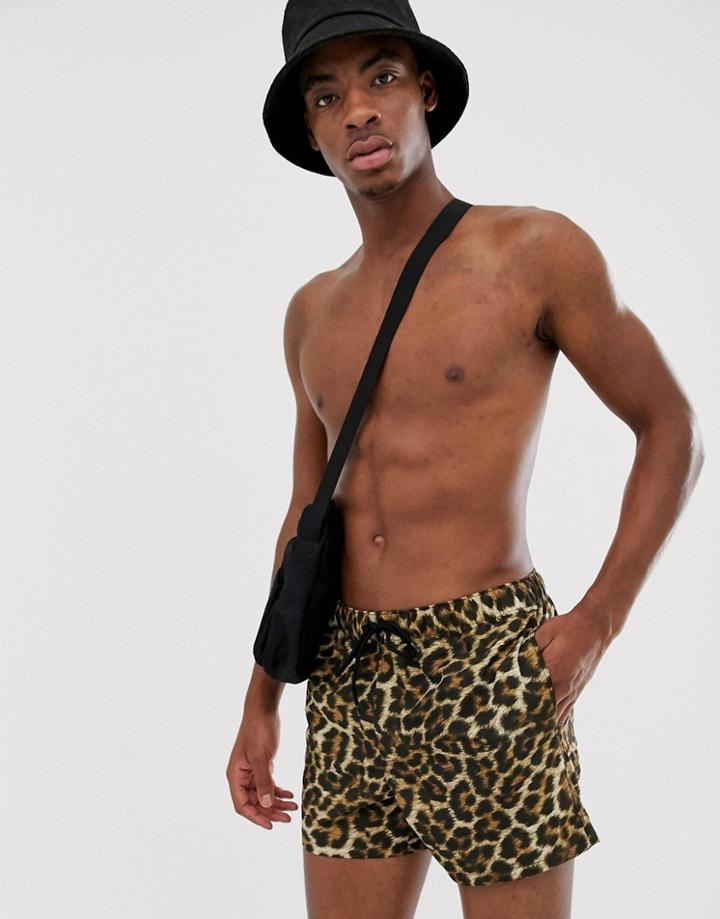 Asos Design Swim Shorts In Leopard Design In Short Length - Multi