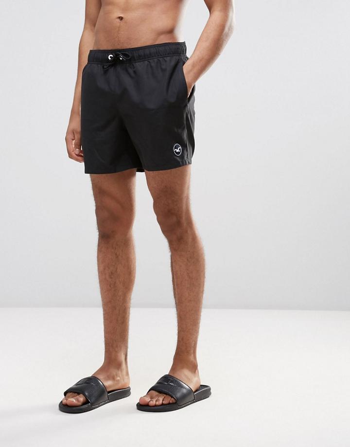 Hollister Guard Swim Shorts Solid Seagull Logo In Black - Black
