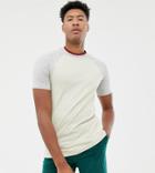Asos Design Tall Raglan T-shirt With Contrast Tipping Neck - Multi