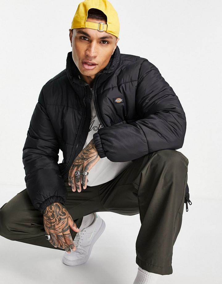 Dickies Waldenburg Puffer Jacket In Black
