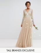 Maya Tall Long Sleeve V Neck Tulle Maxi Dress With Multi Color Sequin - Multi