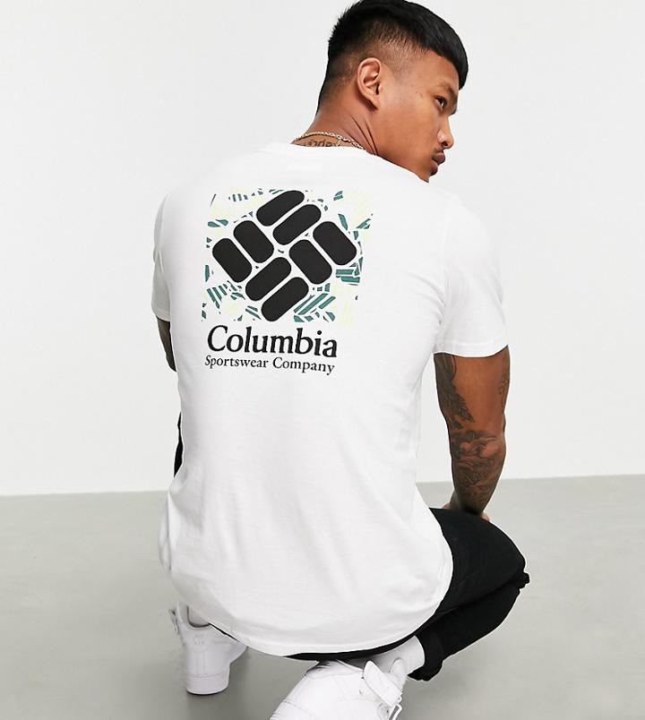Columbia Rapid Ridge Back Graphic T-shirt In White Exclusive At Asos