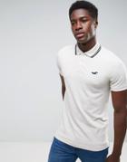 Hollister Polo Tipped Pique Icon Logo Slim Fit In Cream - Cream