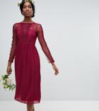 Tfnc Tall Lace Detail Bridesmaid Midi Dress In Burgundy - Red