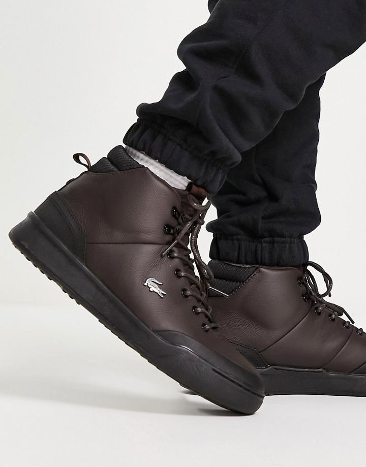 Lacoste Exploratuer Sneakers In Dark Brown