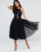 Little Mistress Tulle Dress With Sequin Upper - Black