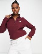 The North Face 100 Glacier 1/4 Zip Fleece In Burgundy-grey