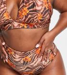 Asos Design Curve Mix And Match High Waist Bikini Bottom In Zebra Tropical Print-multi