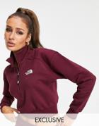 The North Face 1/4 Zip Fleece In Burgundy Exclusive At Asos-red